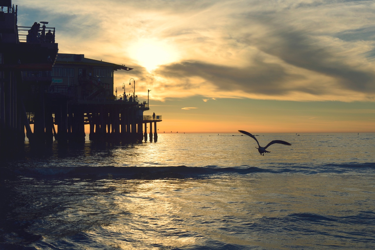 beach-sea-ocean-shore-house