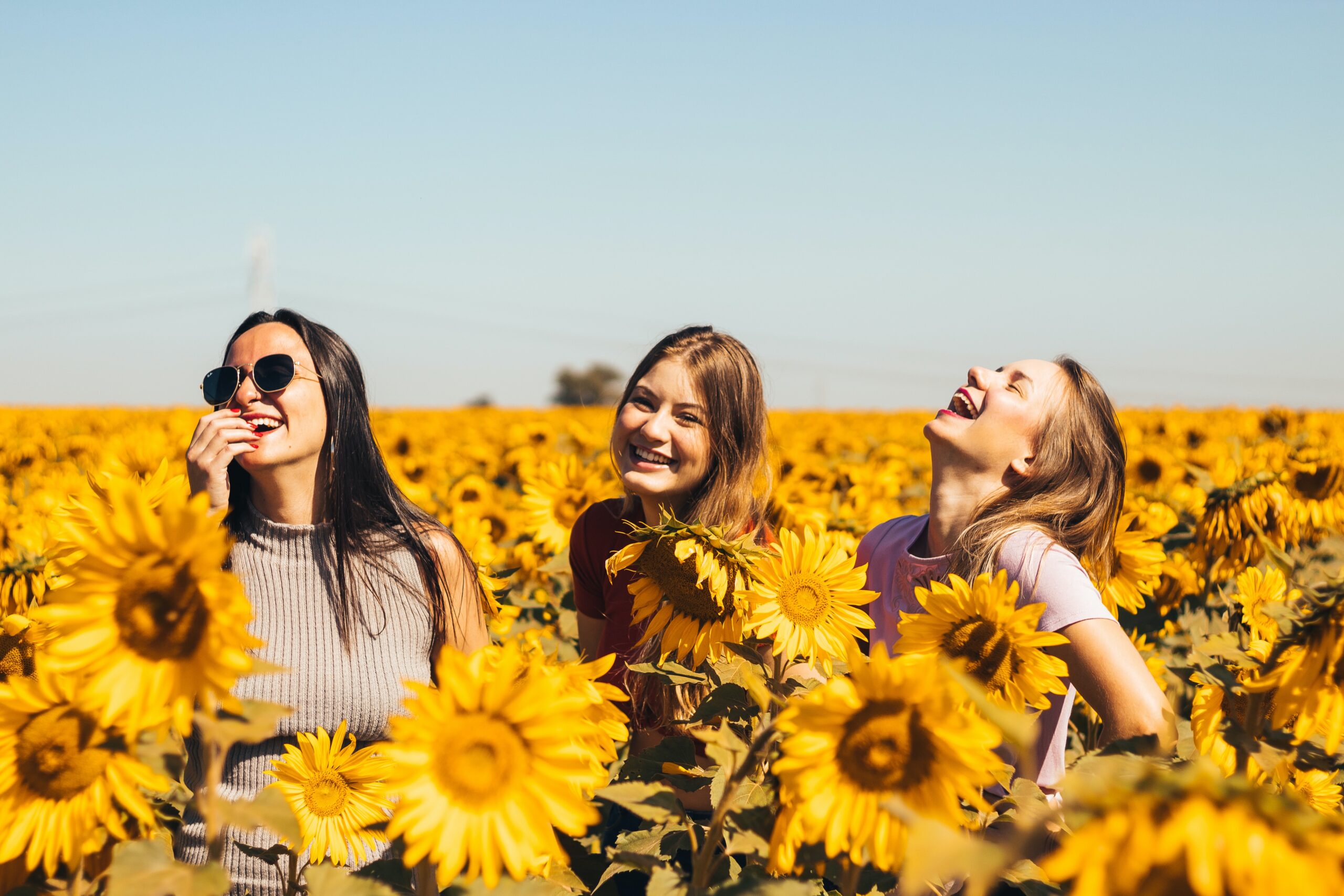 Laughing girls in field of sunflowers